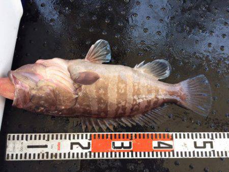 第二龍勢丸 釣果