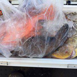 第二龍勢丸 釣果