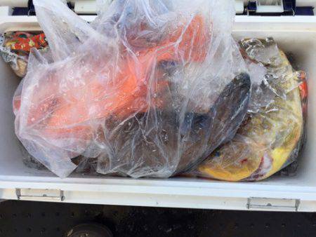 第二龍勢丸 釣果