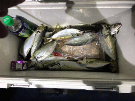 ヤザワ渡船 釣果