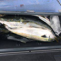 第二 つれたか丸 釣果