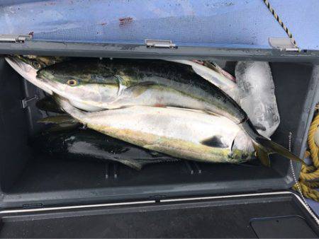 第二 つれたか丸 釣果