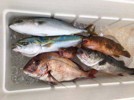 うさぎ丸 釣果