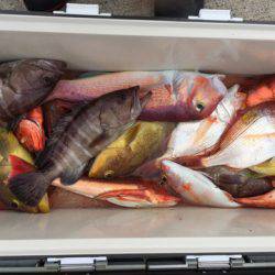 第二龍勢丸 釣果