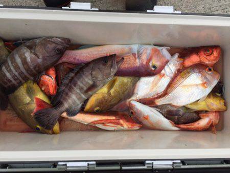 第二龍勢丸 釣果