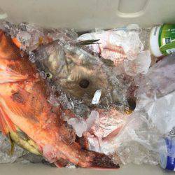 第二龍勢丸 釣果