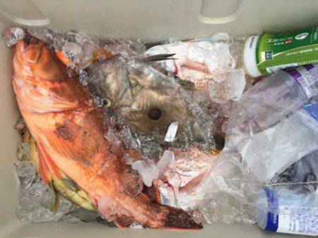 第二龍勢丸 釣果