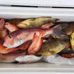 第二龍勢丸 釣果