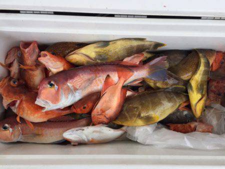 第二龍勢丸 釣果