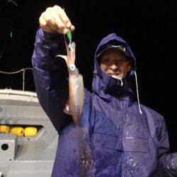 ＴＡＲＯＭＡＲＵ 釣果