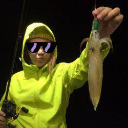 ＴＡＲＯＭＡＲＵ 釣果