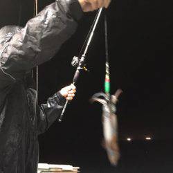 ＴＡＲＯＭＡＲＵ 釣果