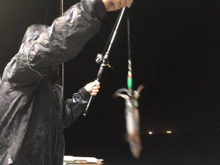 ＴＡＲＯＭＡＲＵ 釣果