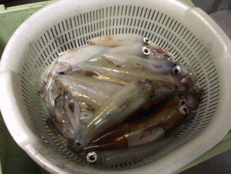 ＴＡＲＯＭＡＲＵ 釣果