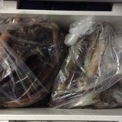 第二八坂丸 釣果