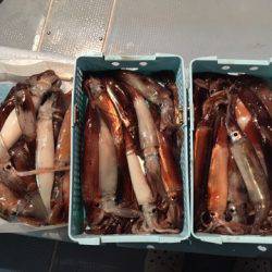 第二八坂丸 釣果