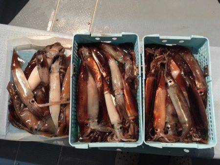 第二八坂丸 釣果