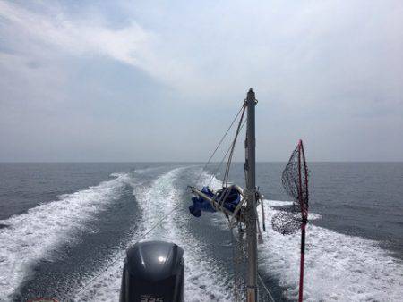 うさぎ丸 釣果