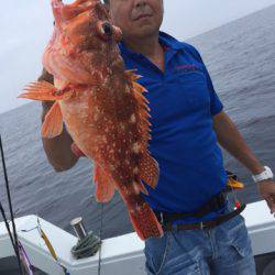 第二龍勢丸 釣果