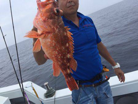 第二龍勢丸 釣果