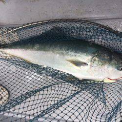 第二龍勢丸 釣果