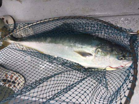 第二龍勢丸 釣果