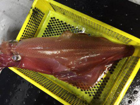 第二龍勢丸 釣果