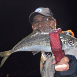 渡船屋たにぐち 釣果
