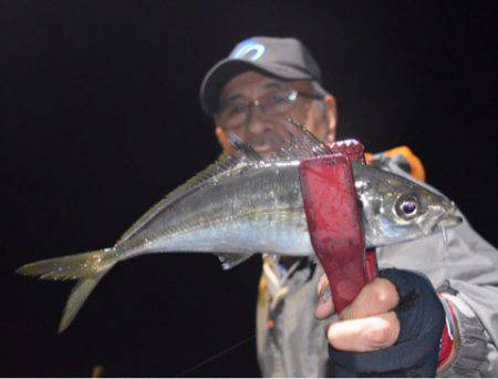 渡船屋たにぐち 釣果