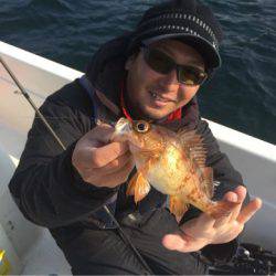 「LaGooN」蒼陽丸 日和号　 釣果