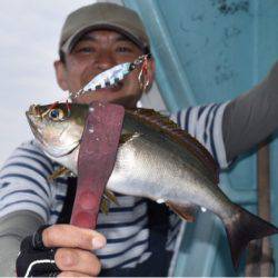 渡船屋たにぐち 釣果