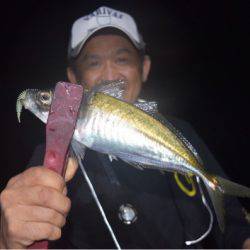 渡船屋たにぐち 釣果