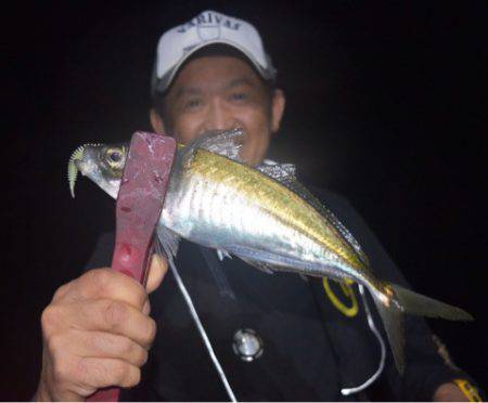 渡船屋たにぐち 釣果