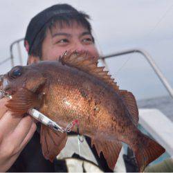 渡船屋たにぐち 釣果