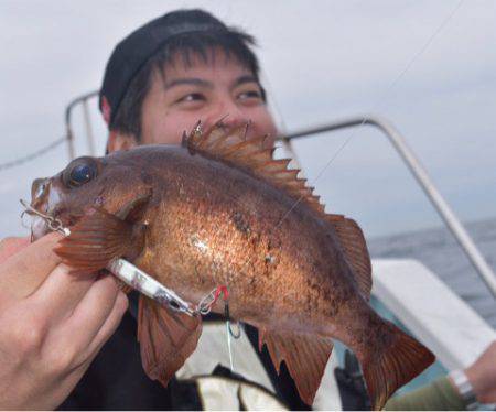 渡船屋たにぐち 釣果