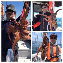 ビッグファイター 釣果