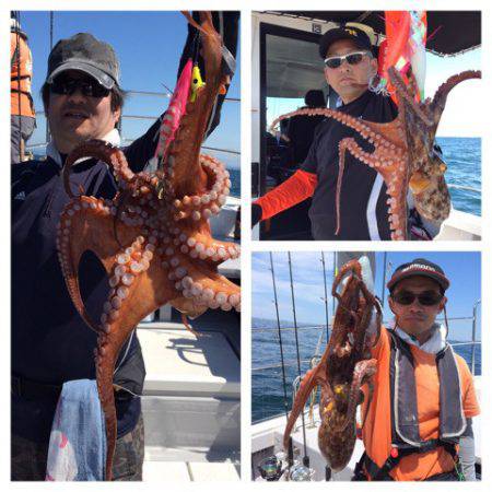 ビッグファイター 釣果