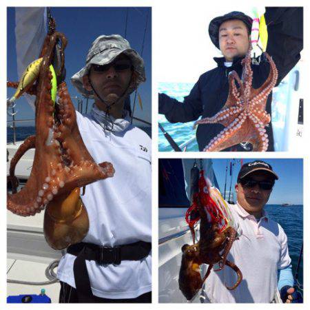 ビッグファイター 釣果