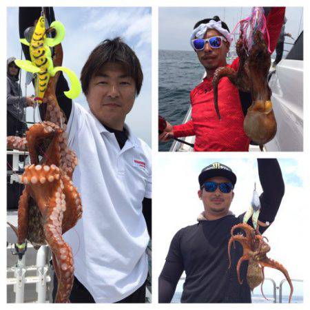 ビッグファイター 釣果