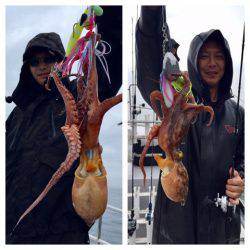 ビッグファイター 釣果