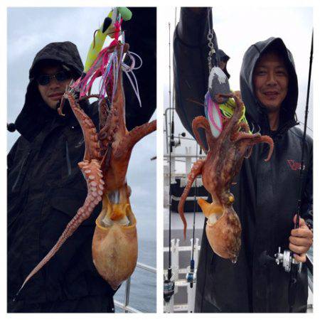 ビッグファイター 釣果