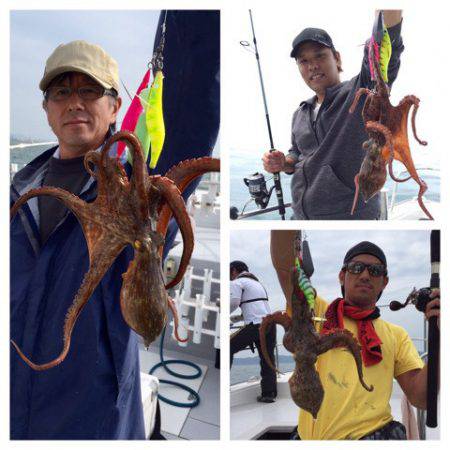 ビッグファイター 釣果