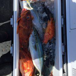 第二龍勢丸 釣果