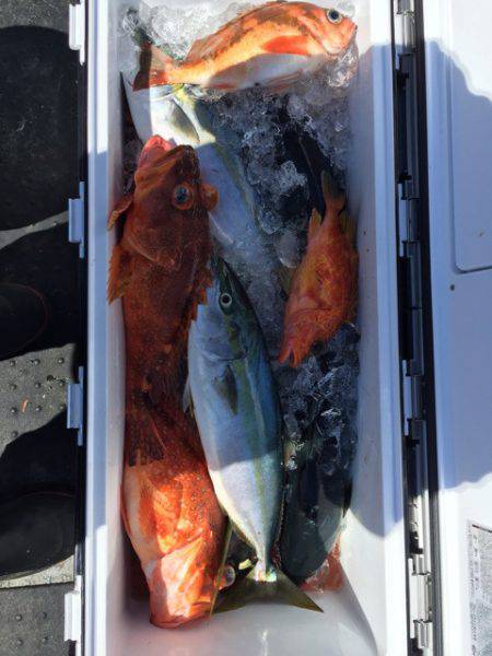 第二龍勢丸 釣果