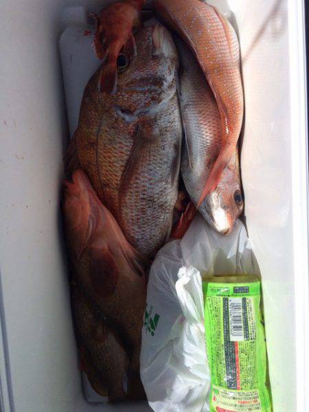 豊和丸 釣果