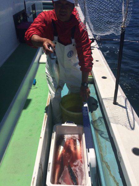 丸万釣船 釣果