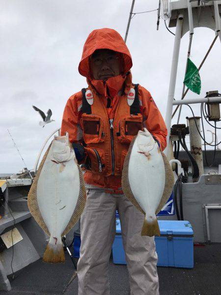 シーランチ 釣果