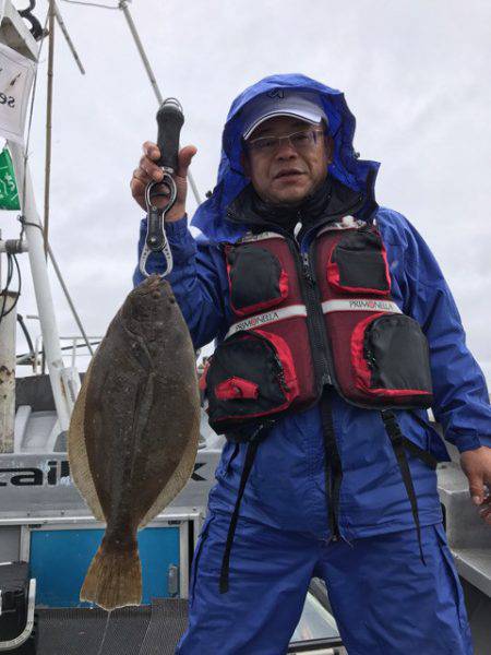 シーランチ 釣果