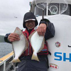 シーランチ 釣果