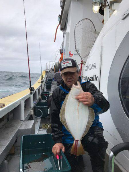 シーランチ 釣果